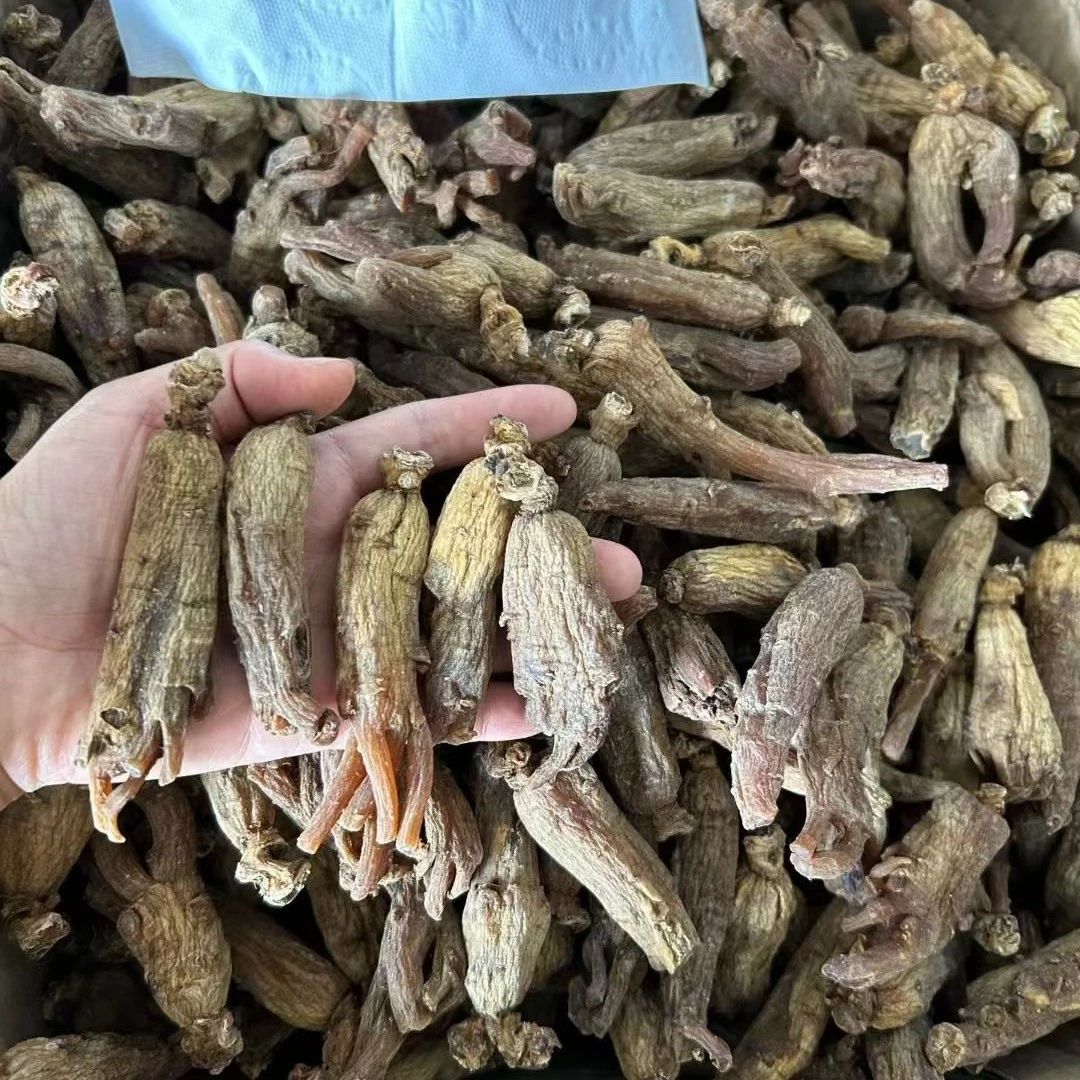 长白山 红参条 (产后必备)