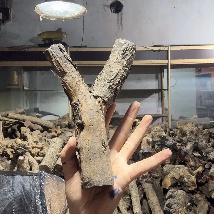 过***客火琉璃的故事是一