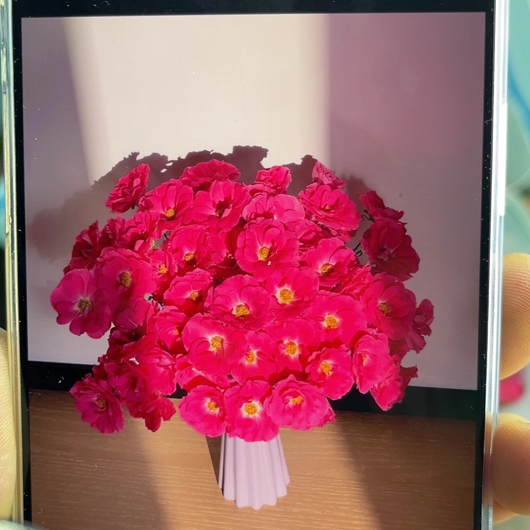 全部花苞青幕谷（大乔）一扎