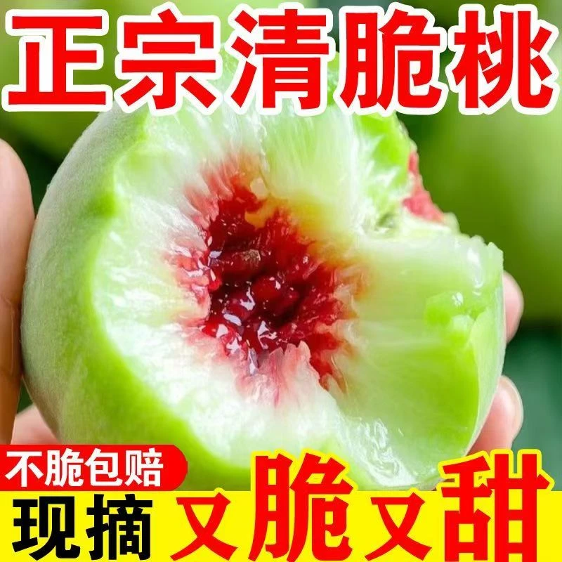 中华脆桃湖北清江脆蜜桃清香脆甜现摘现发孕妇水果非鹰嘴桃5斤