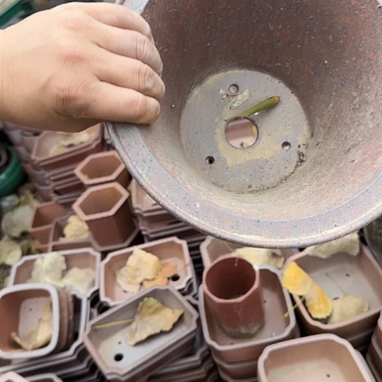 高****是一个不知名作家与艺术创作团队对音乐进行