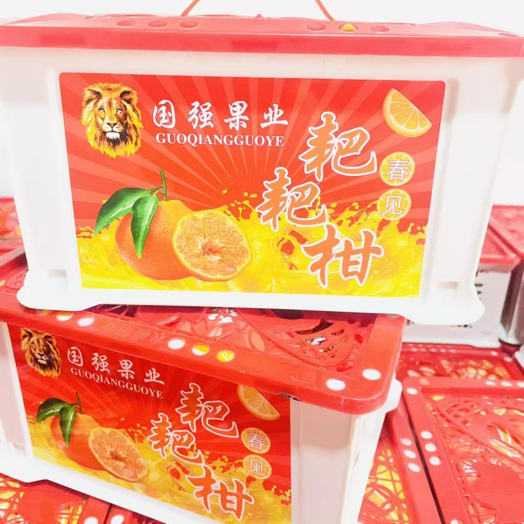 【国强耙耙柑】 果香浓郁  汁水超多  嘎嘎甜 净重4.5斤