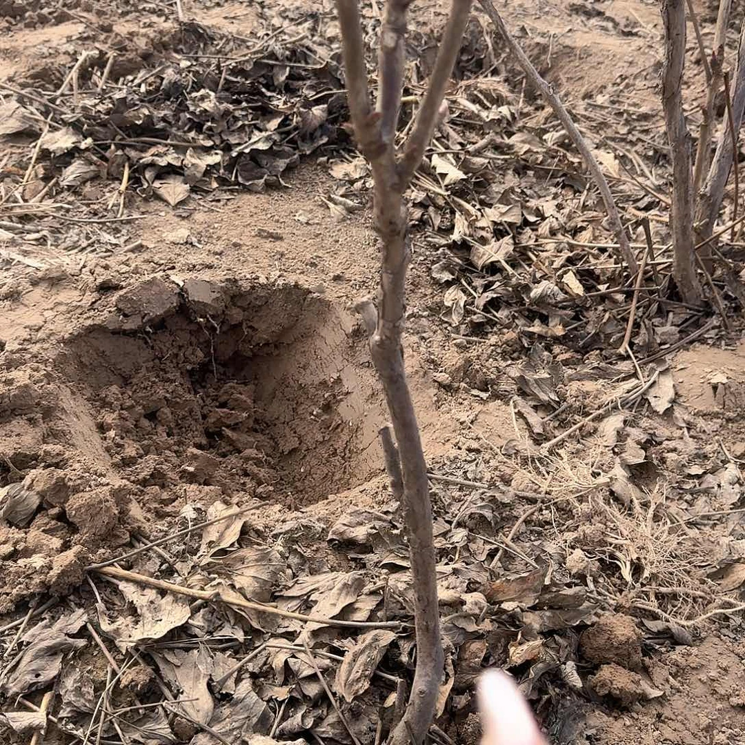 完全开放11111111111