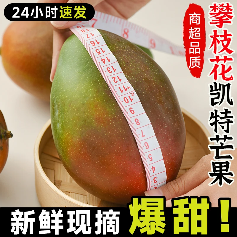 正宗攀枝花凯特芒芒果新鲜水果当季整箱四川忙果甜青皮大澳芒包邮