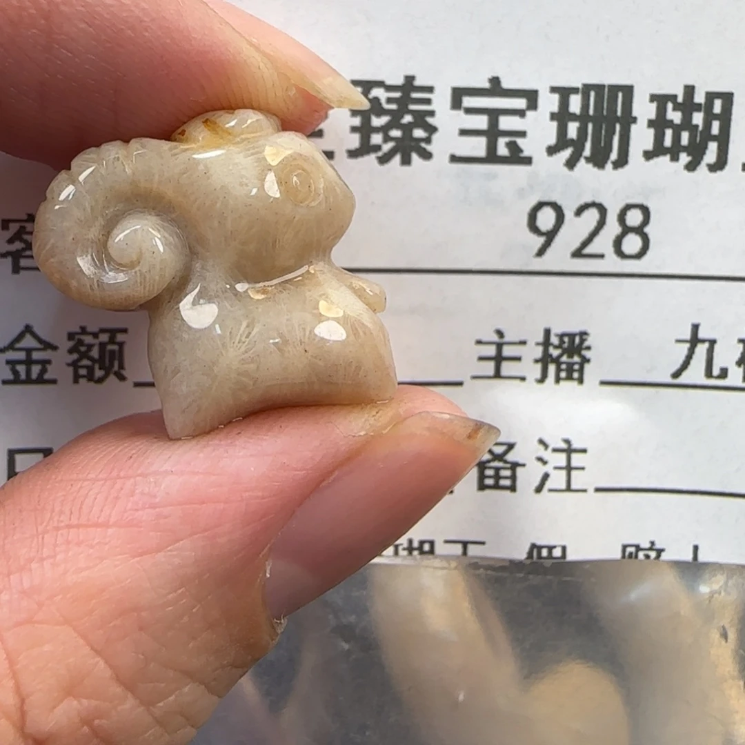 硅化珊瑚（珊瑚玉）未镶嵌颈饰