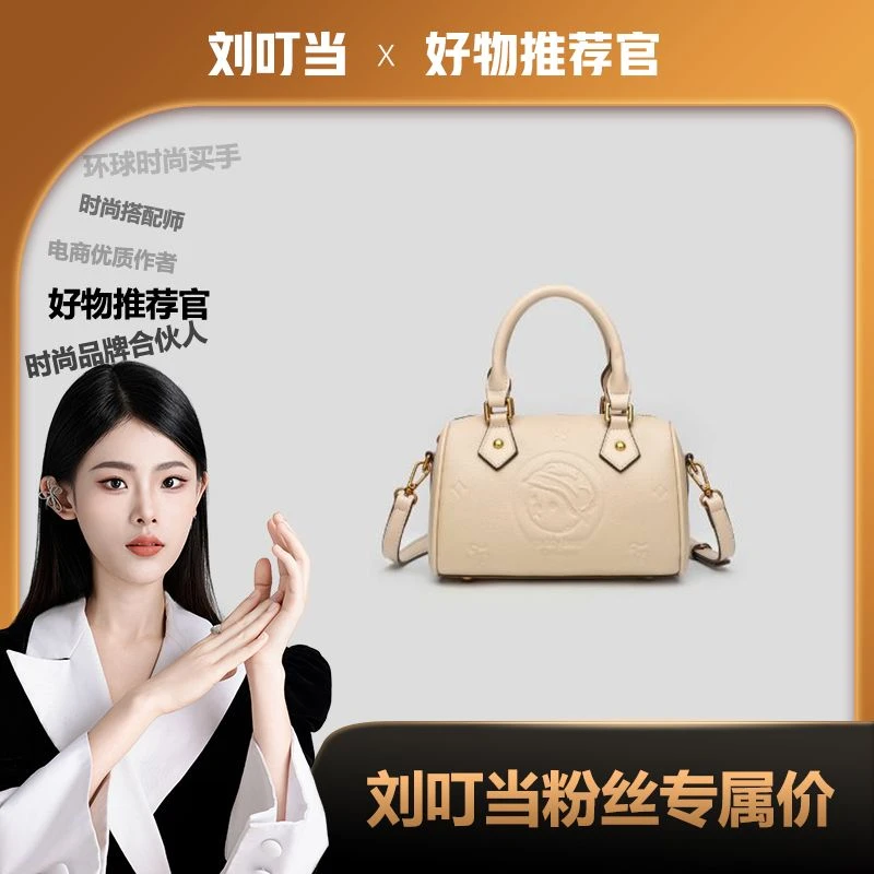 【刘叮当甄选】2025新款时尚简约手提单肩斜挎枕头包