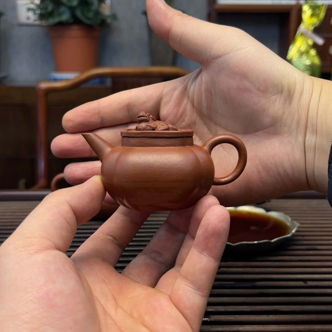 紫砂茶壶小*儿小伙儿狮球