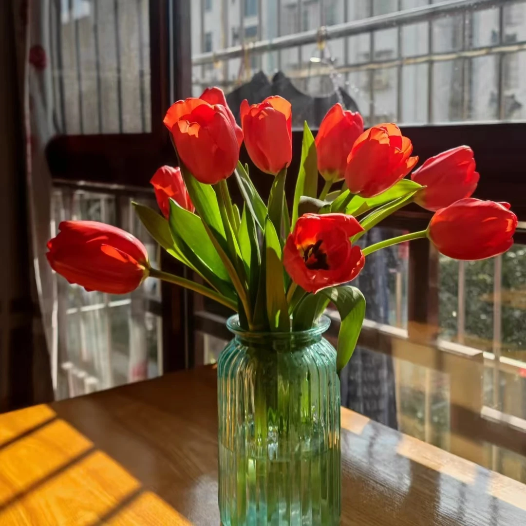 【拉力贝拉】郁金香水养鲜切花办公室室内瓶插花桌面装饰简单浪漫