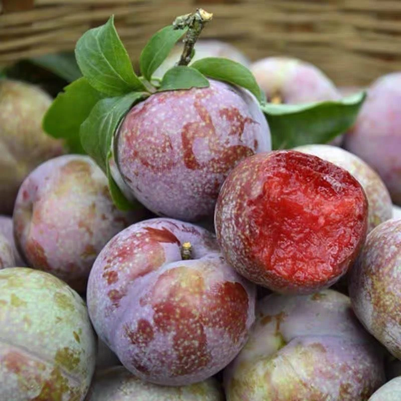 【特价】正宗红心李红心李子三华李新鲜孕妇当季水果酸脆酸甜