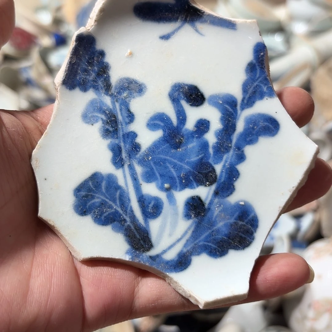 安***之瓷片瓷片标本，顺丰包邮