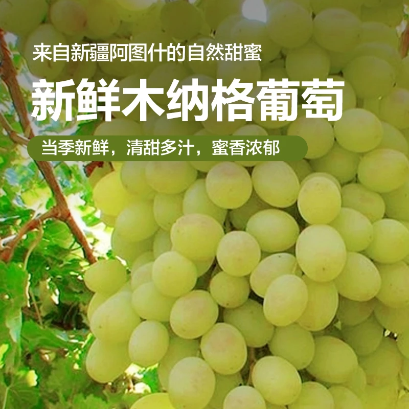 【顺丰冷链次日达】新疆阿图什木纳格葡萄冰川翡翠甜地球应季水果