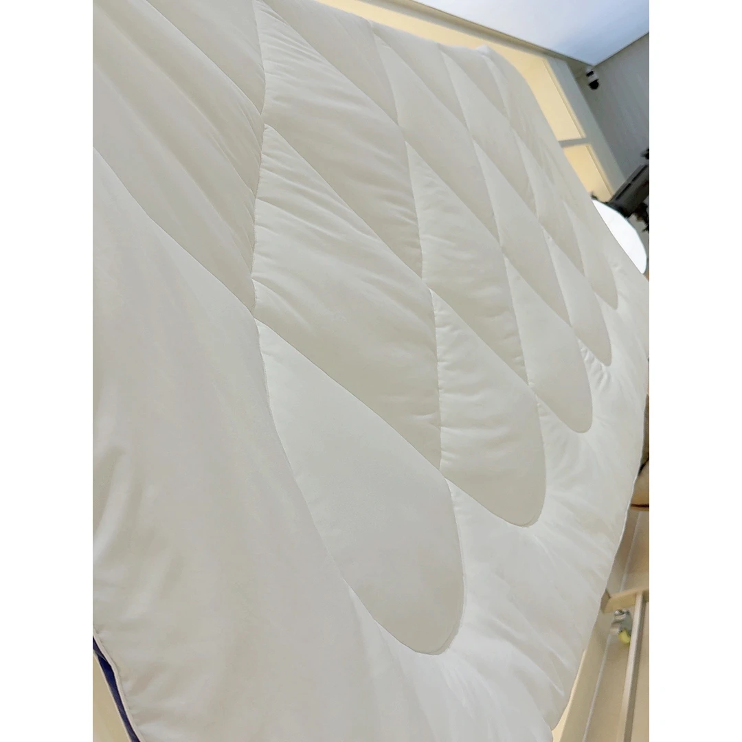 品牌梦-洁plus负离子抗菌加厚被【2.2m*2.4m—】—9106