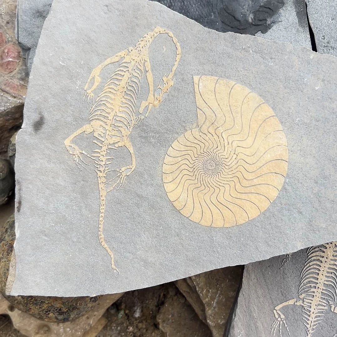 刘***波石材贵州沉积岩石头摆件