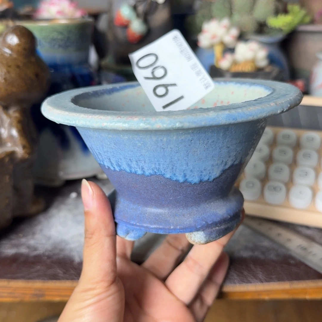 重庆小燕子欢迎大家960