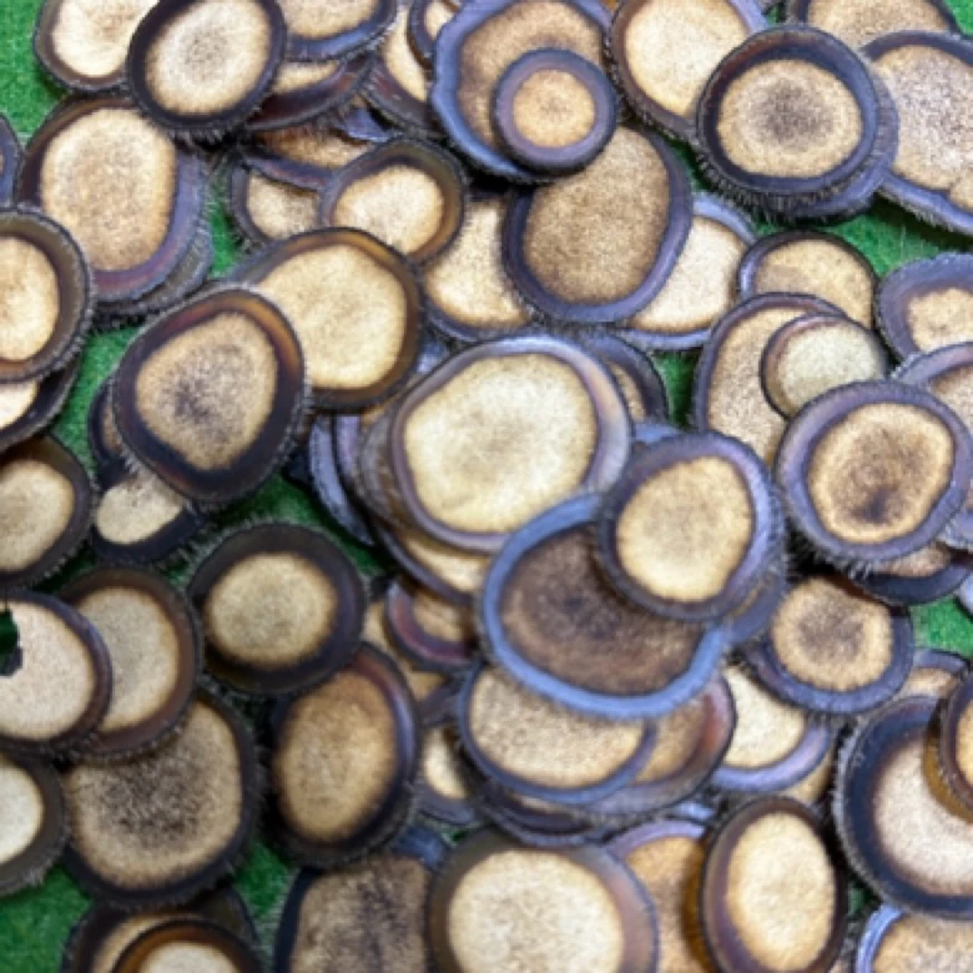 正宗梅花鹿半腊片泡水泡酒煲汤滋补佳品