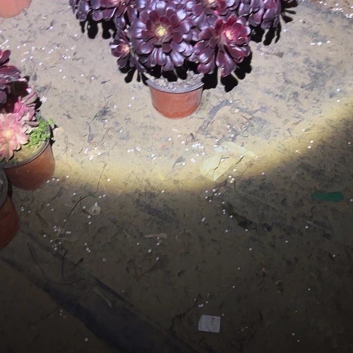 法师链接一物一拍71