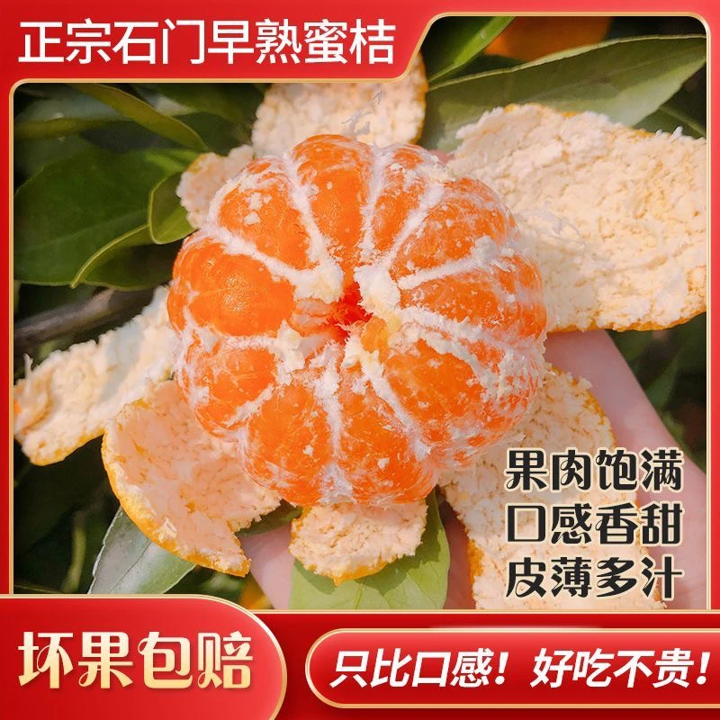 【5斤装】2025石门蜜橘现摘无籽酸甜爽口新鲜水果