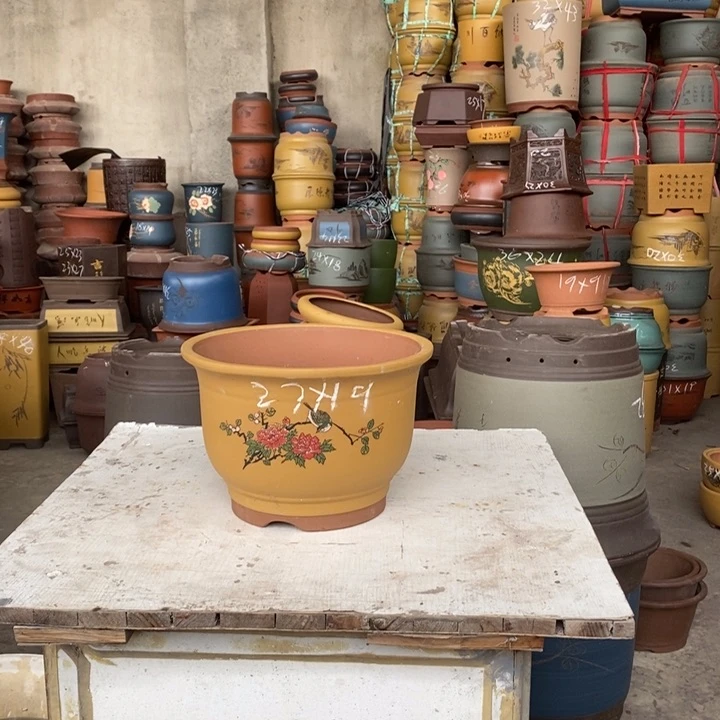 紫砂花盆紫砂花盆盆栽花卉种植