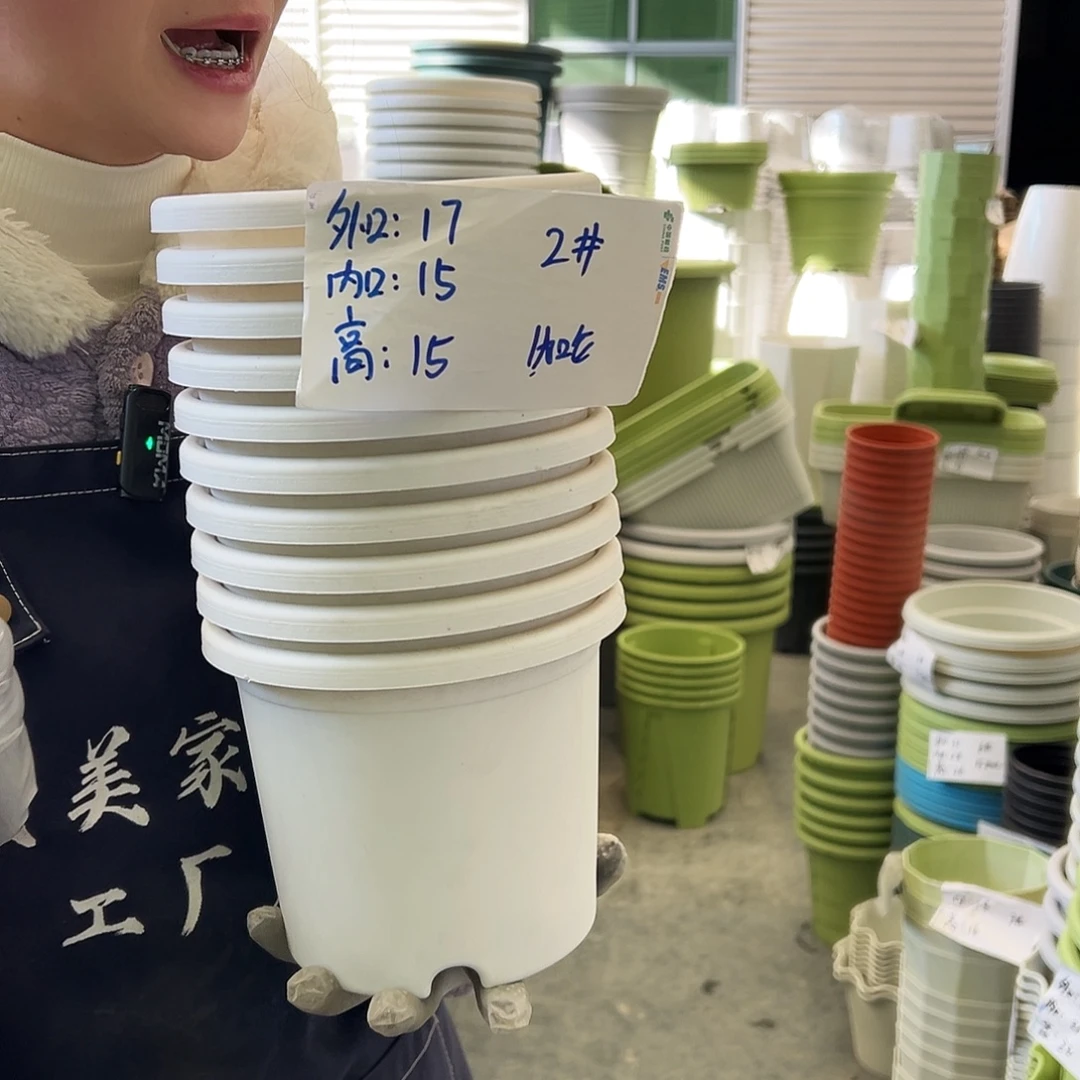 四季盆2#白色10个无托