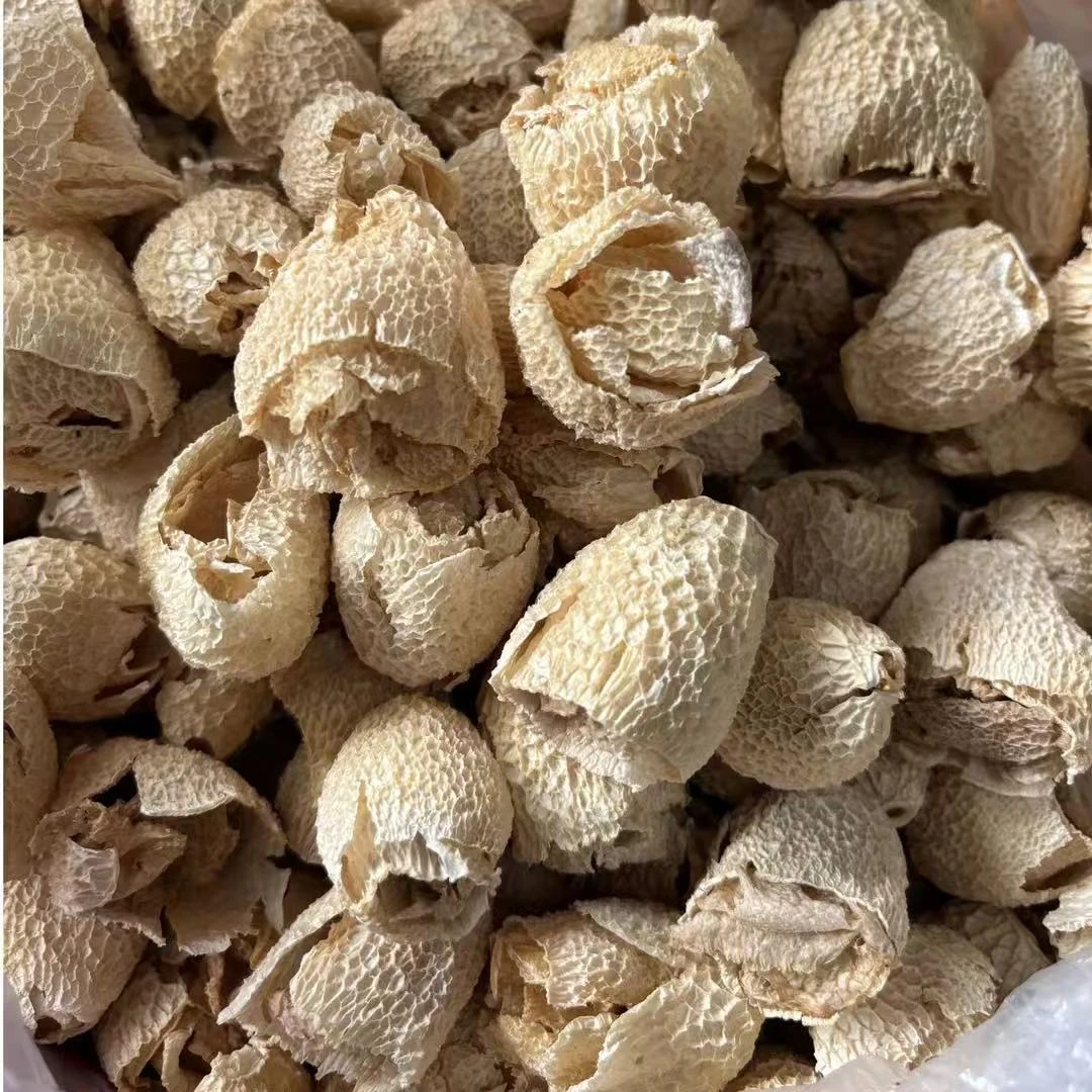 四川菌王手选高山竹毛肚 新货干货