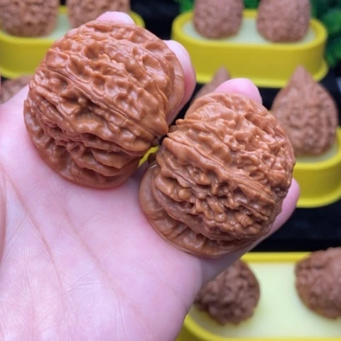 蓟县楼44全品111111