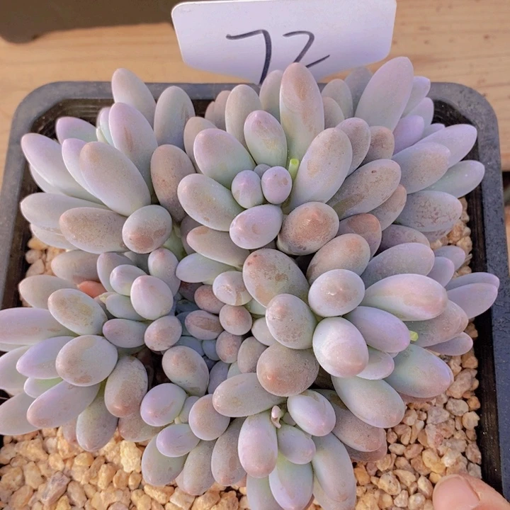 这样做不就更难受