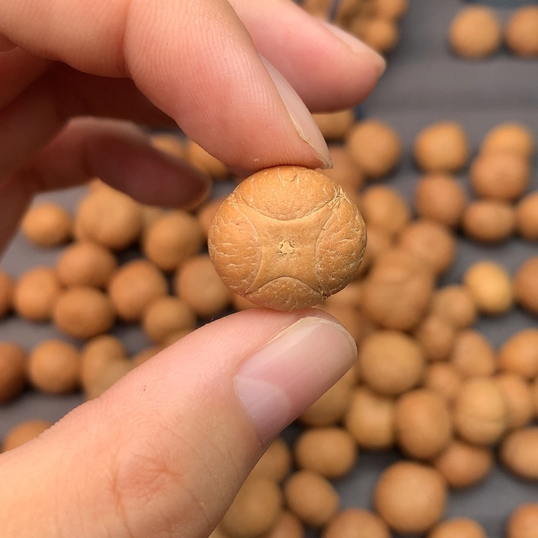 凤眼菩提吊坠麒麟三通18.5尺寸，非质量问题打孔不退