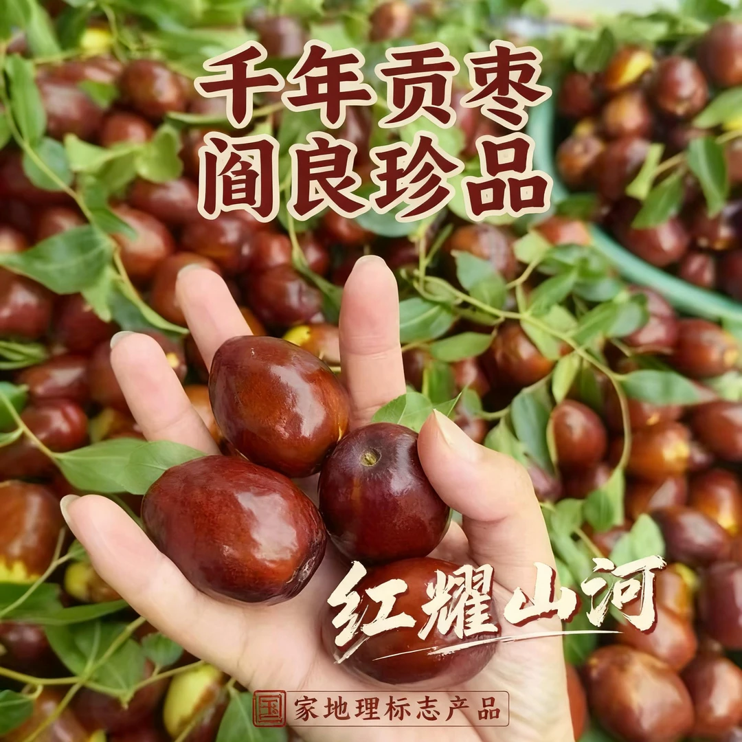 陕西阎良相枣皮薄肉厚核小营养甘润滋补养生秋冬水果送礼必备