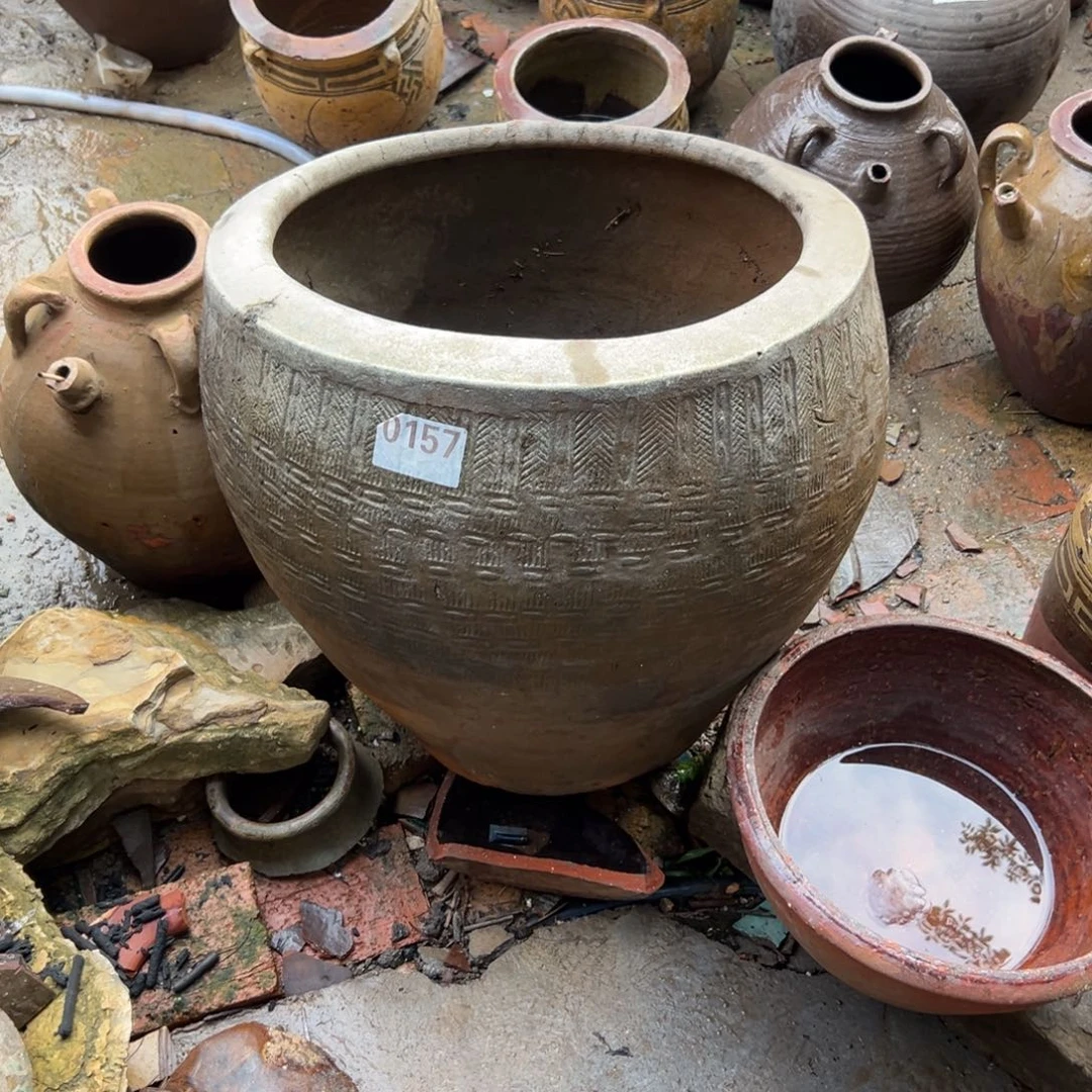 月****荐种花一物一拍