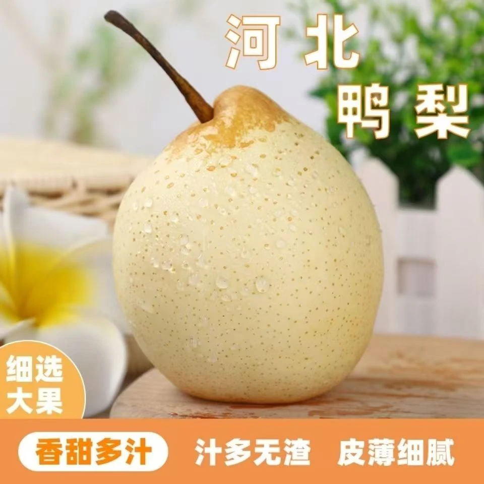 河北赵县鸭梨新鲜脆甜多汁当季水果非鸭梨砀山梨酥梨梨子