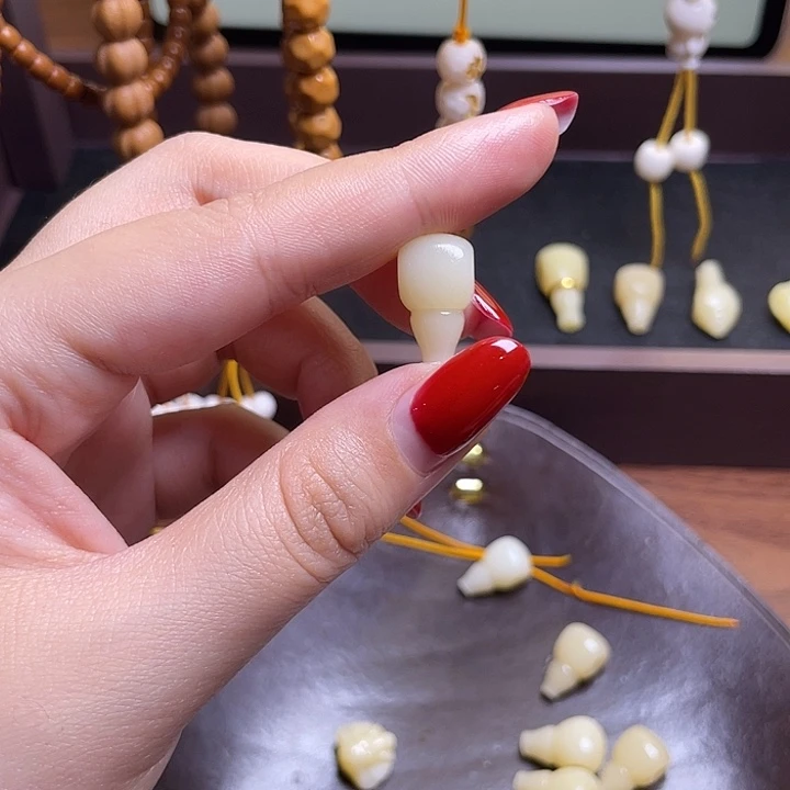 驼骨手串/手链0149