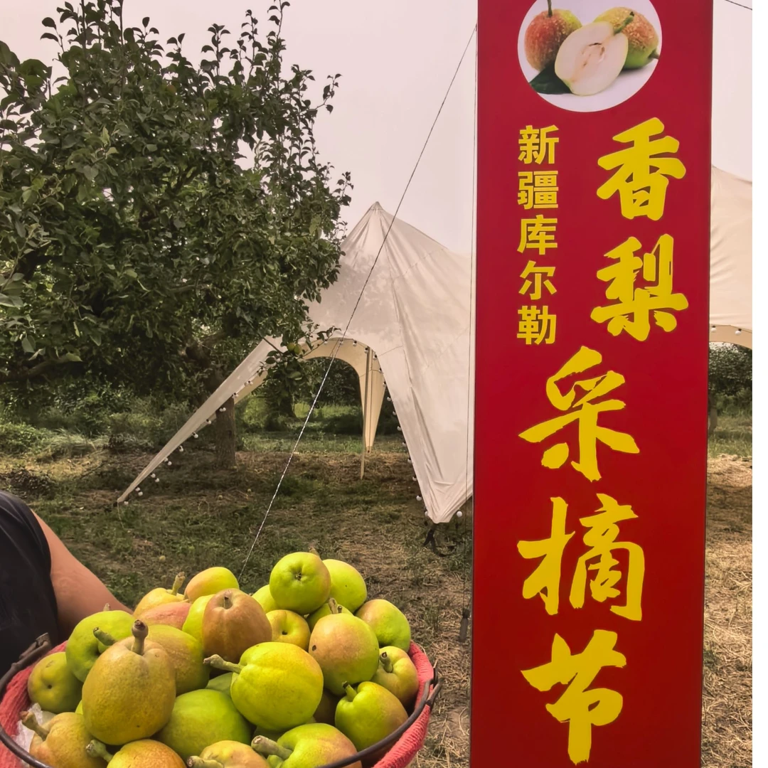 正宗新疆库尔勒香梨现摘新鲜上市皮薄脆甜多汁水果中秋礼品
