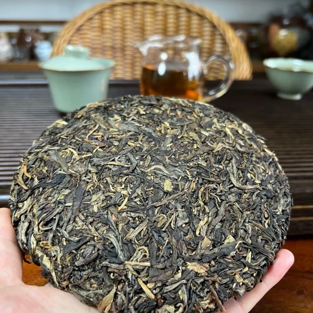 【高海拔·森林茶】2009年滑竹梁子早春森林茶普洱生茶紧压茶