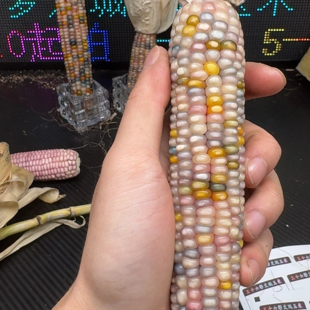 柏香籽/百香籽吊坠吾**然