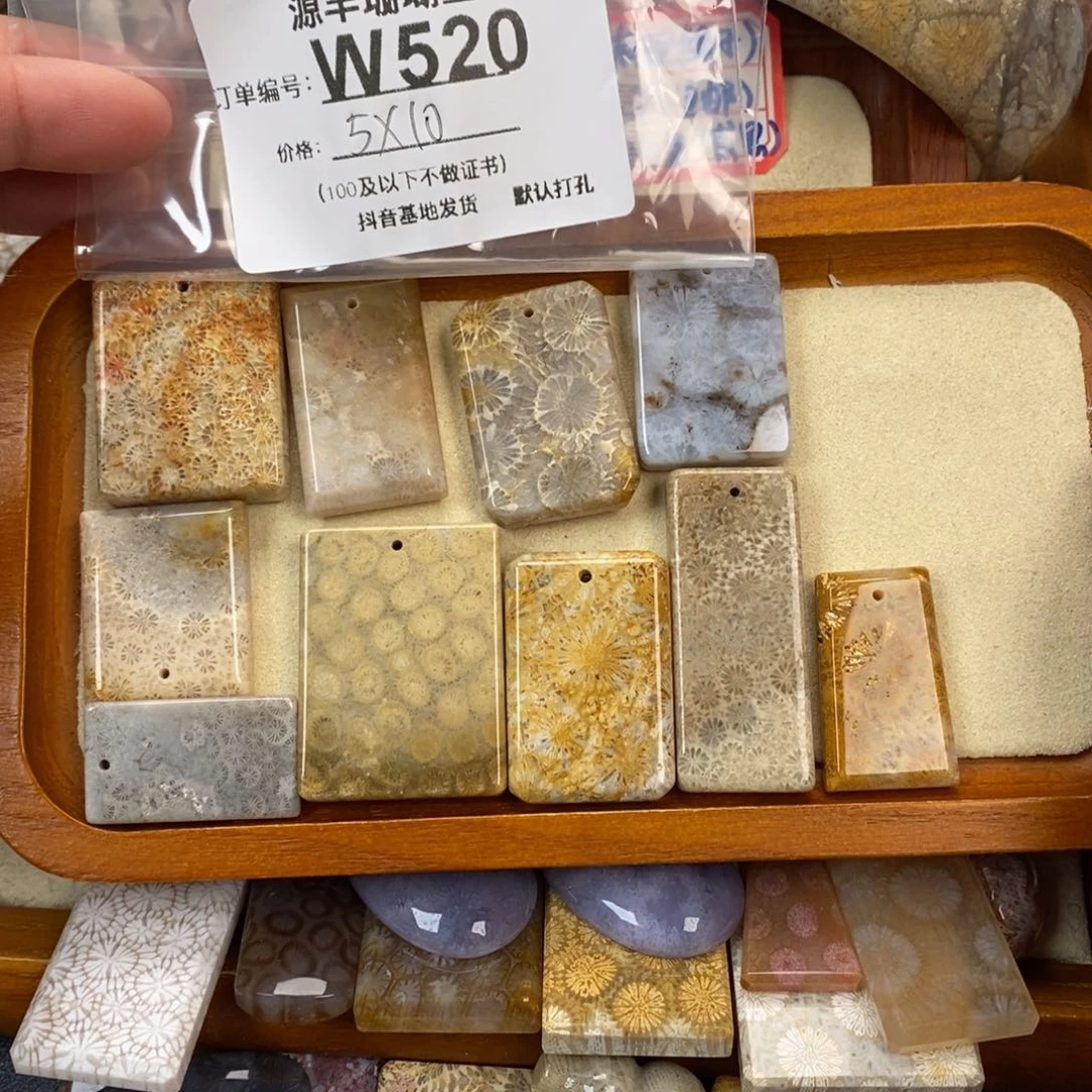 硅化玉颈饰未镶嵌一*川