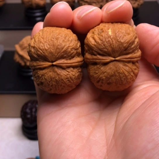 文玩核桃把件鹦鹉元宝19