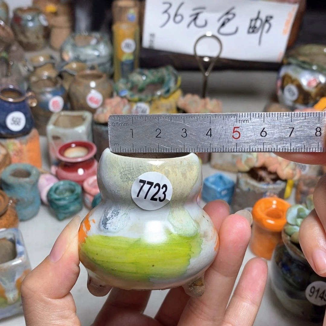 拍5送一个小礼物