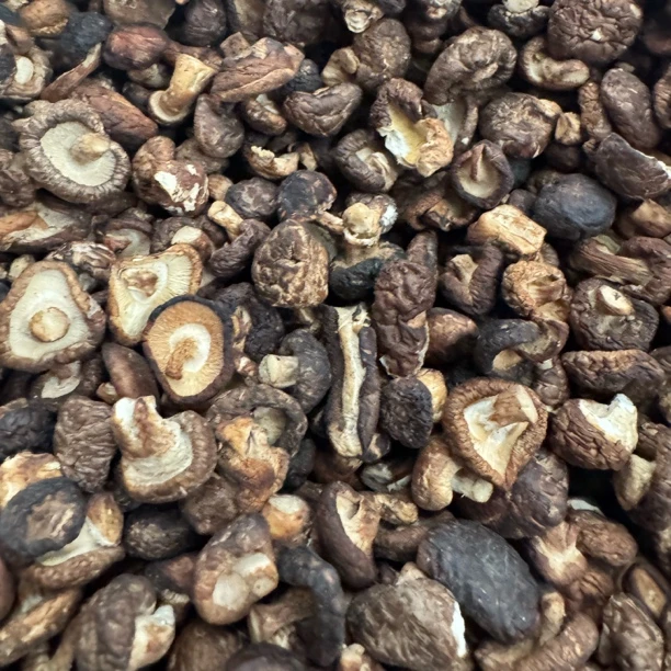 云南土特产-小香菇