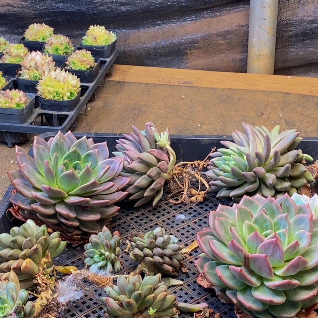 364的人在一起了。我是