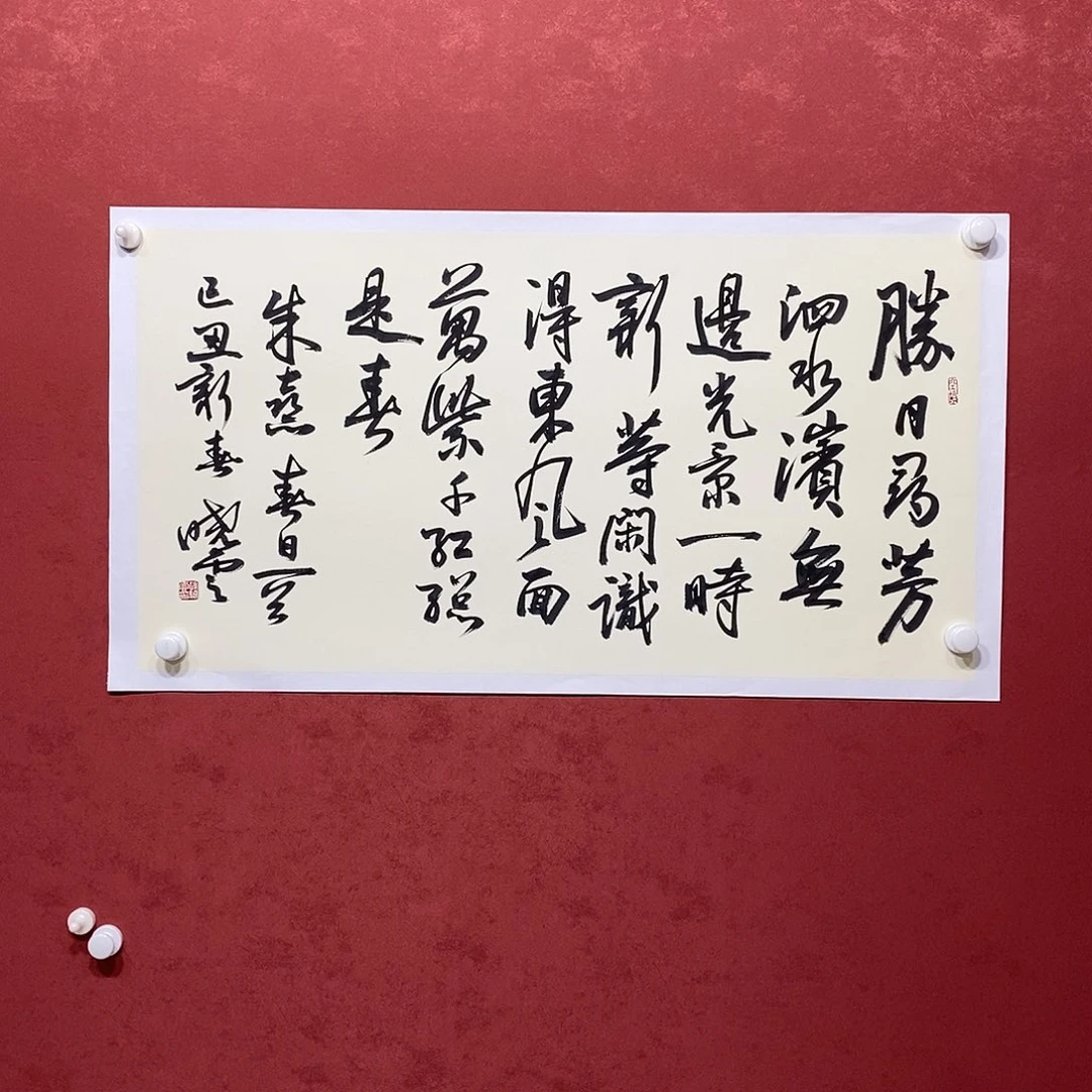 盛日寻芳直播大漏