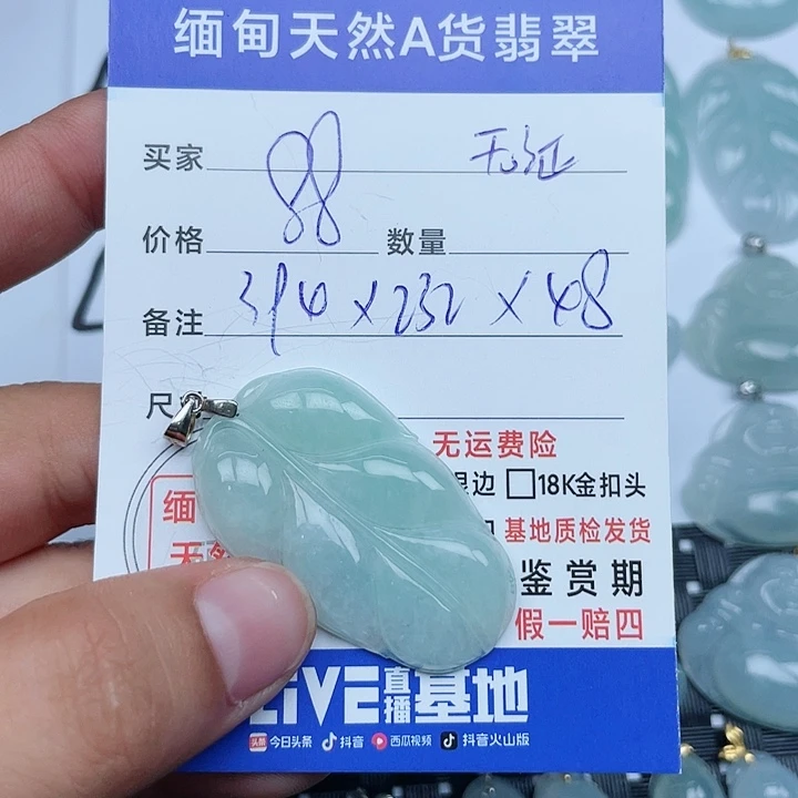 颈饰银S925镶嵌翡翠纯天然缅甸a货翡翠