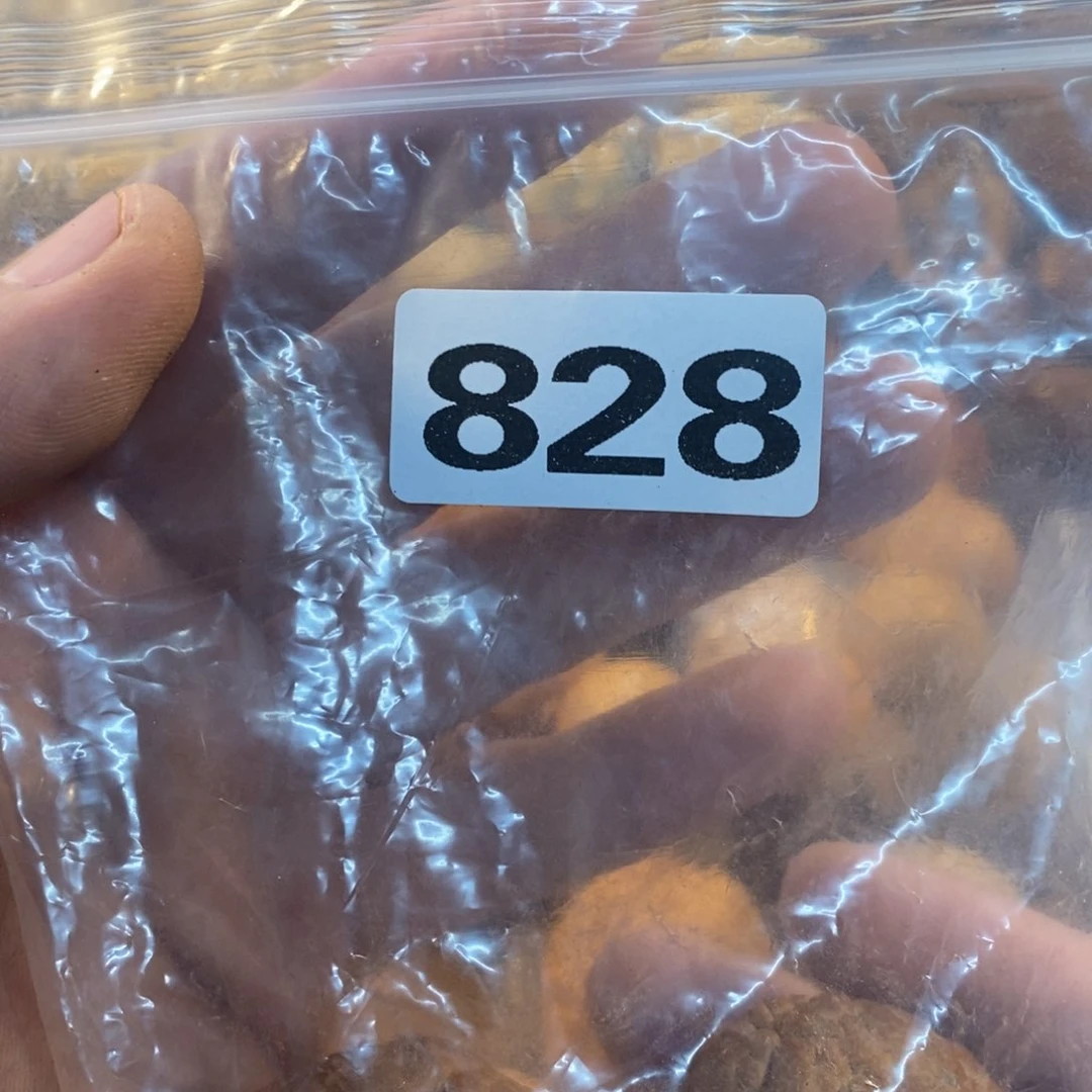 草珠菩提吊坠抖**缘