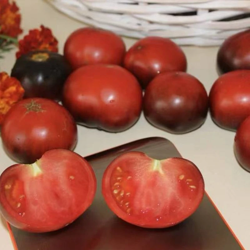 珊迪小心心5粒种子高产稀有花青素番茄可留种满29包邮