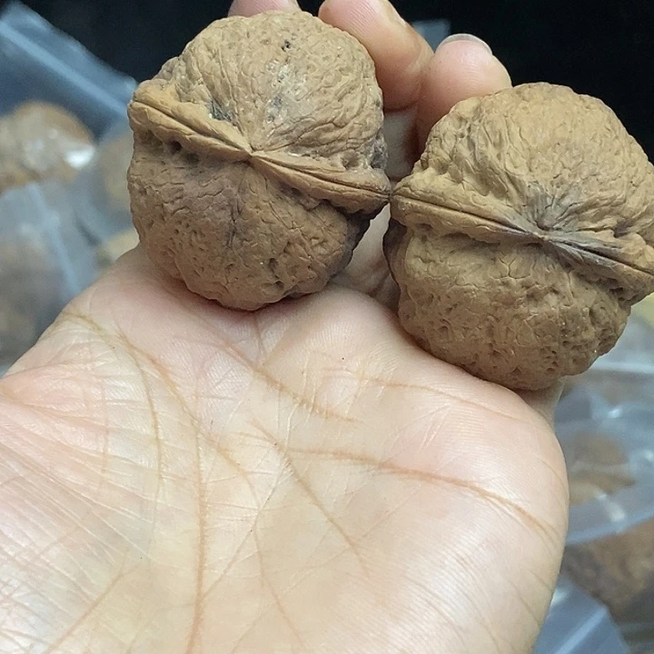 木质类云南铁核桃基地95