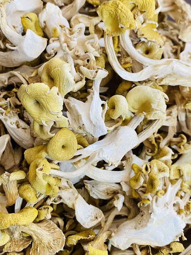 (禧元精选)鸡油菌