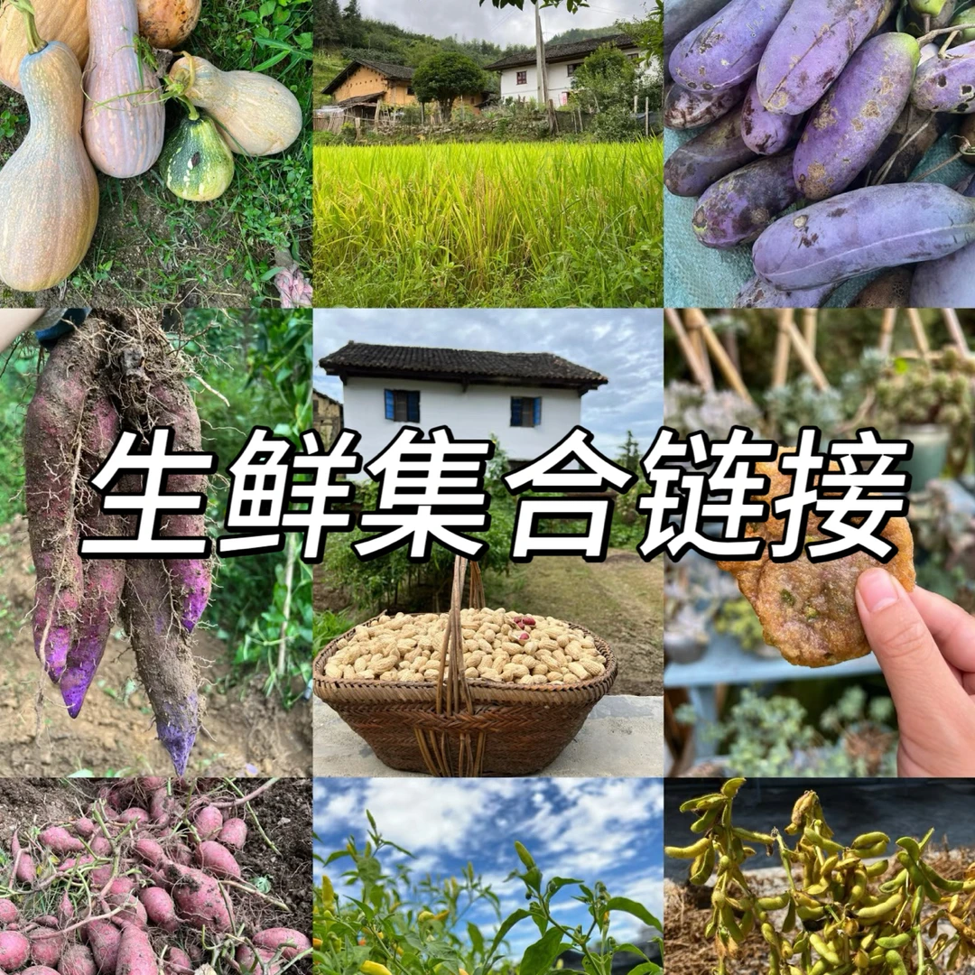 生鲜集合链接。