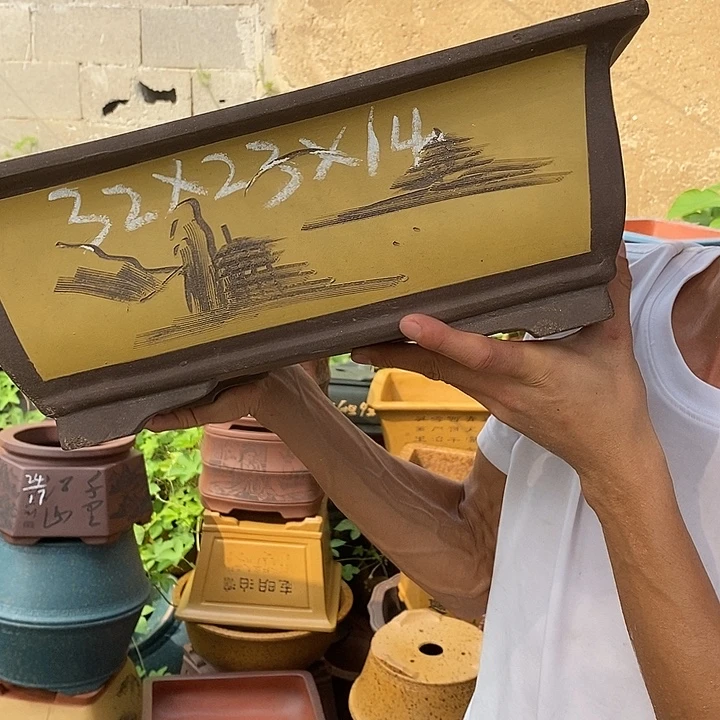 紫砂紫砂紫砂紫砂