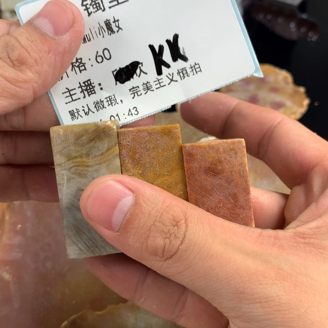 w***女硅化珊瑚（珊瑚玉）未镶嵌吊坠(赠链)