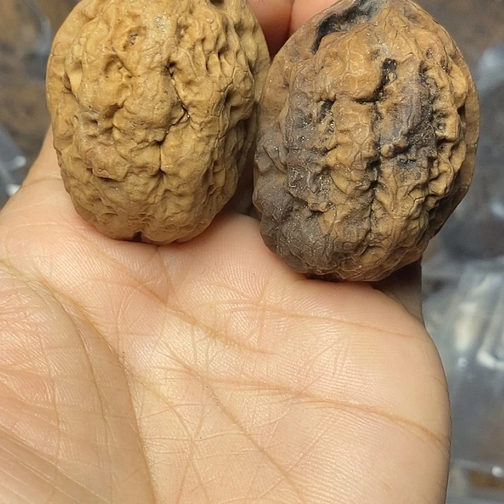 把件文玩核桃云南铁核桃74