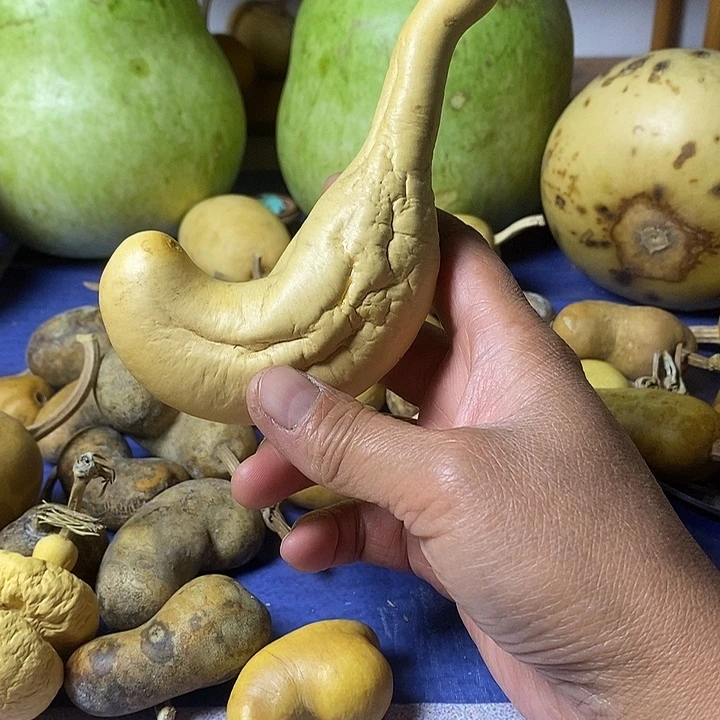 不***间花皮土豆葫芦手把件